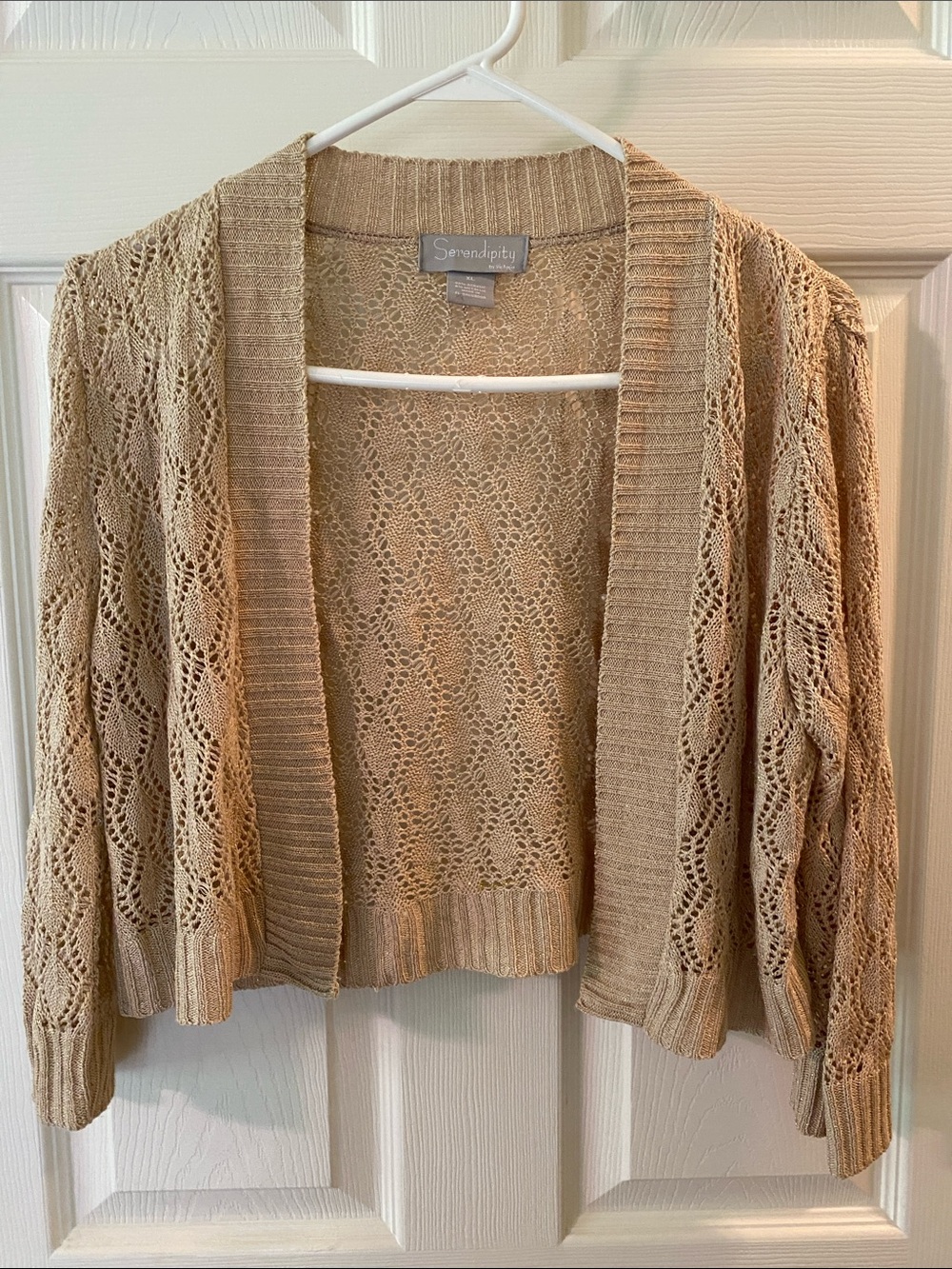 Serendipity Open-Front Beige Crochet Cardigan